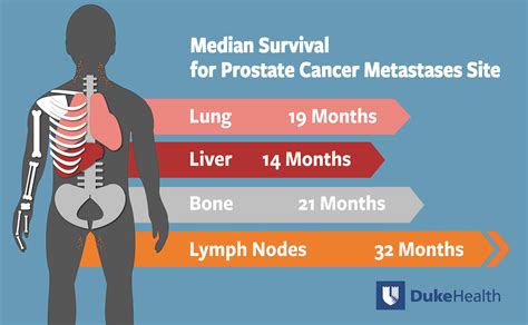 Metastatic Prostate Cancer 